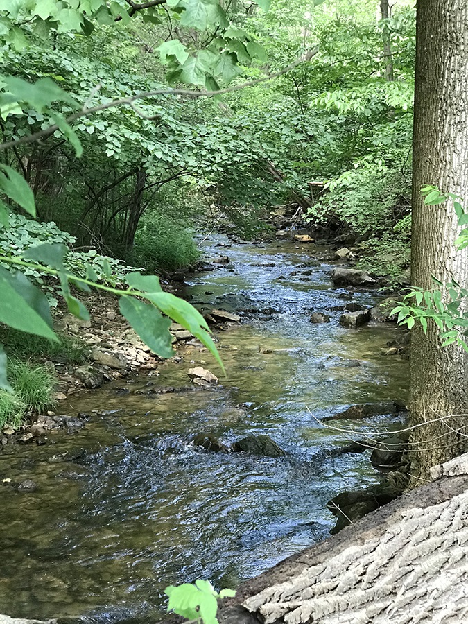 Pennsylvania stream