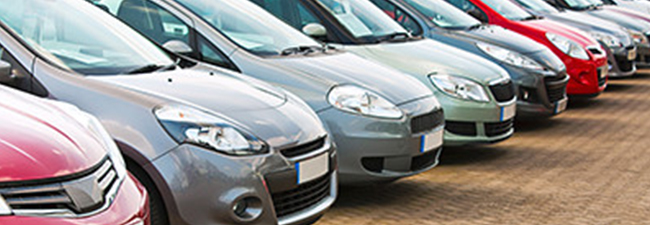 Row of parked rental cars