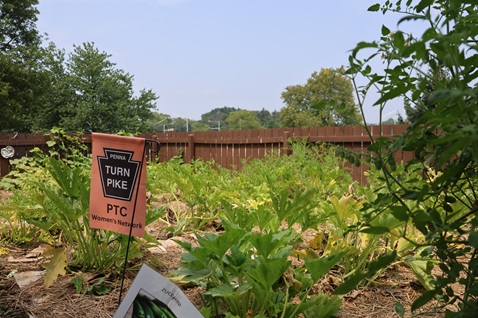 Giving Garden 1