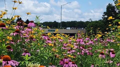 Allentown