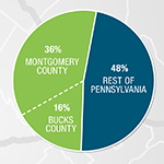 Pie chart