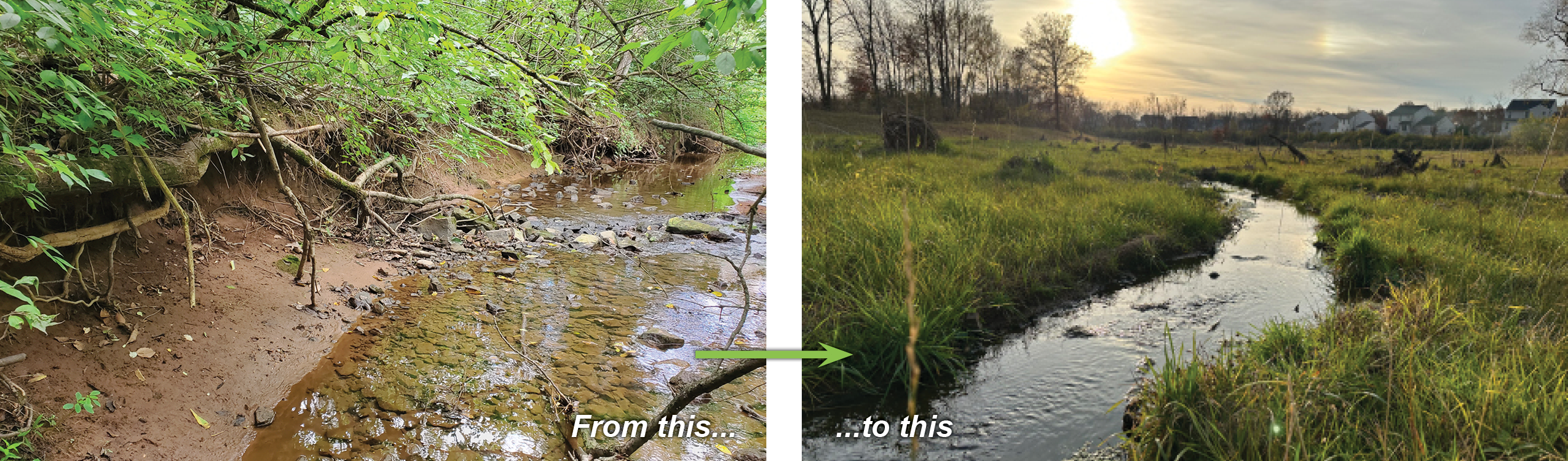 Stream restoration Restored stream before and after