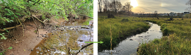 Restored stream before and after