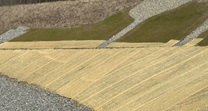 Basin-Slope-Stabilization-2025-04-09