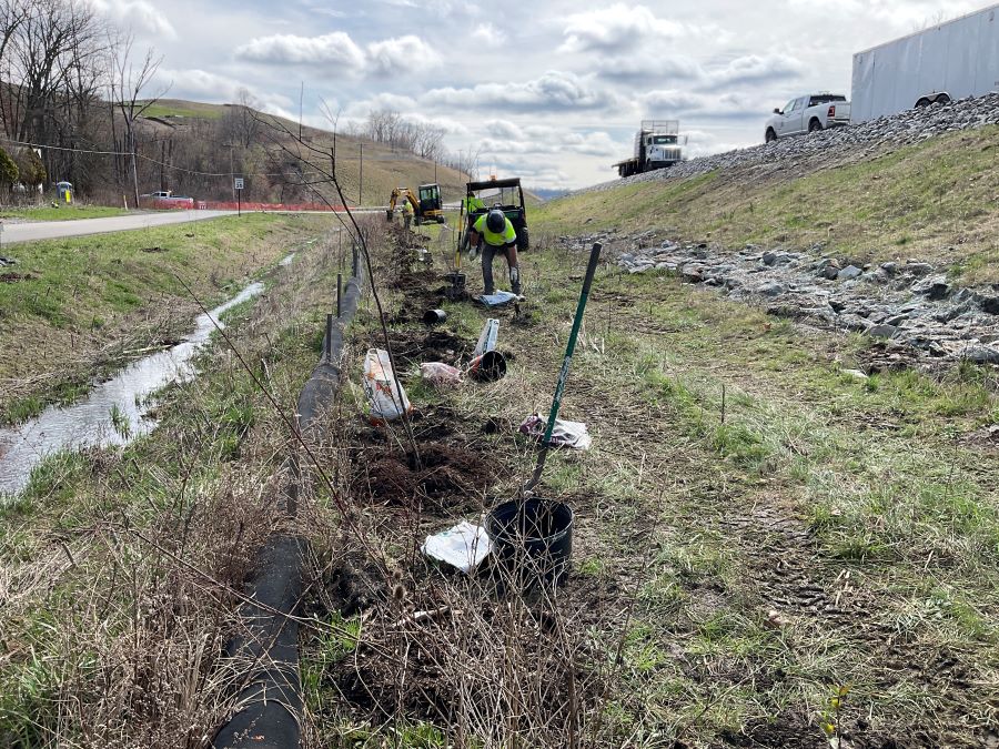 U-Company-installing-shrubs-along-Channel-13-2025-04-07