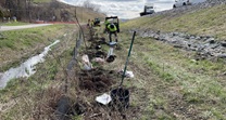 U-Company-installing-shrubs-along-Channel-13-2025-04-07