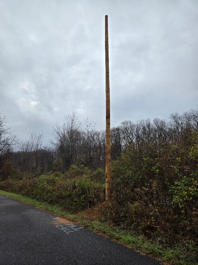 temp pole