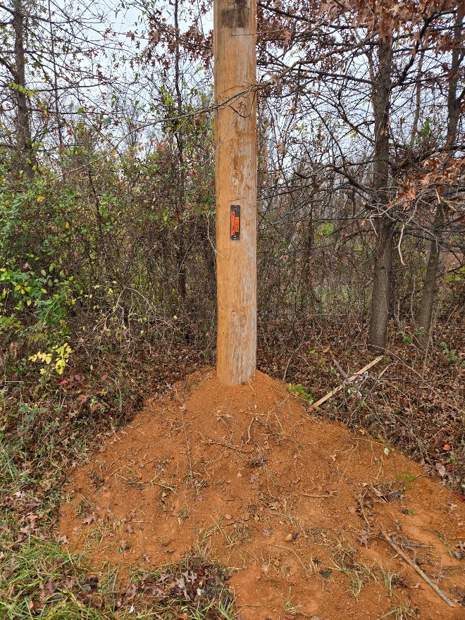 temp pole 2