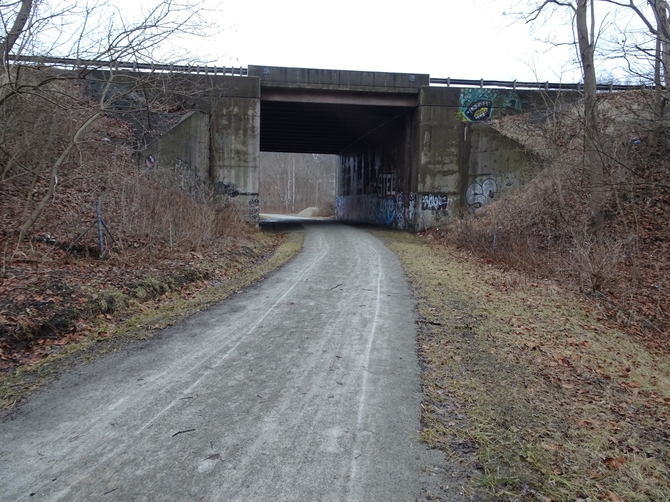Mainline Bridge (WB-465) over Turtle Creek Industrial Railroad